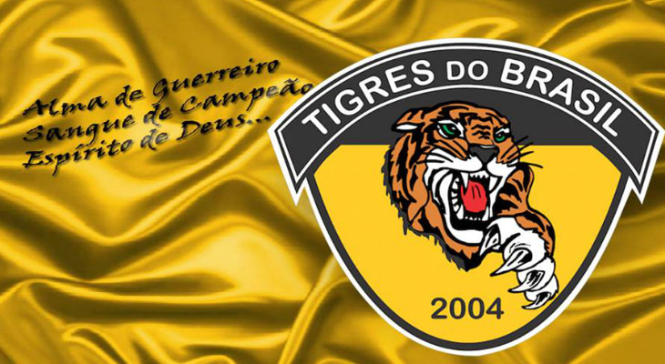  Tigres do Brasil mostra braveza apenas no escudo, em campo o time é mansinho ante os rivais do Cariocão!
