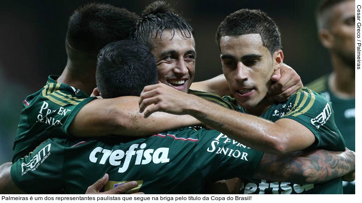  Palmeiras é um dos representantes paulistas que segue na briga pelo título da Copa do Brasil!