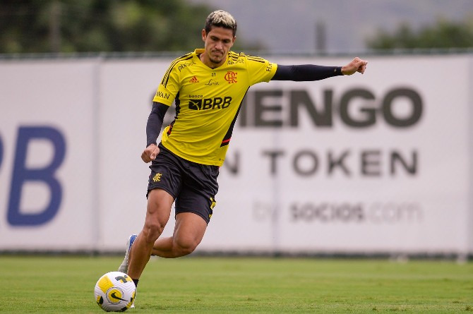  Pedro é o destaque do Flamengo na temporada